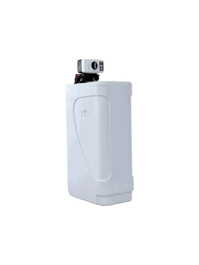 prol 2-Photoroom.webp