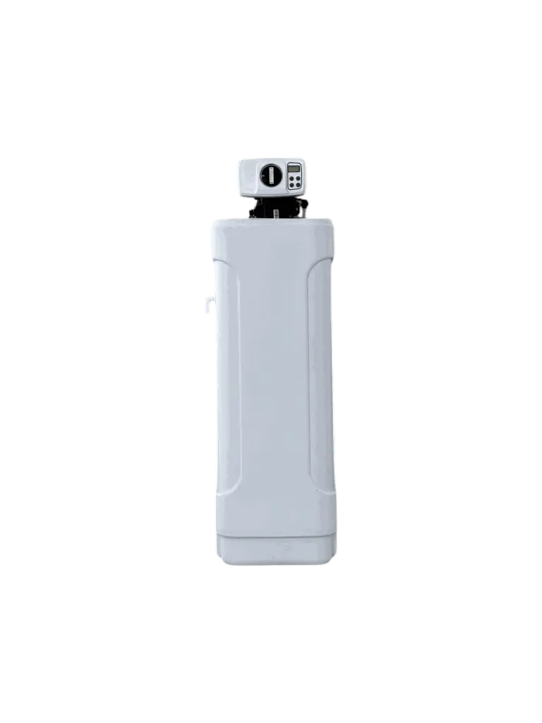 prol 1-Photoroom.webp