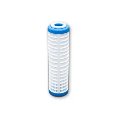 [212003110] Cartouche lavable 50µ SX